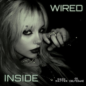 Cover of Wired Inside