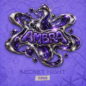 Pochette de SECRET NIGHT