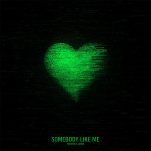 Cover of Somebody Like Me